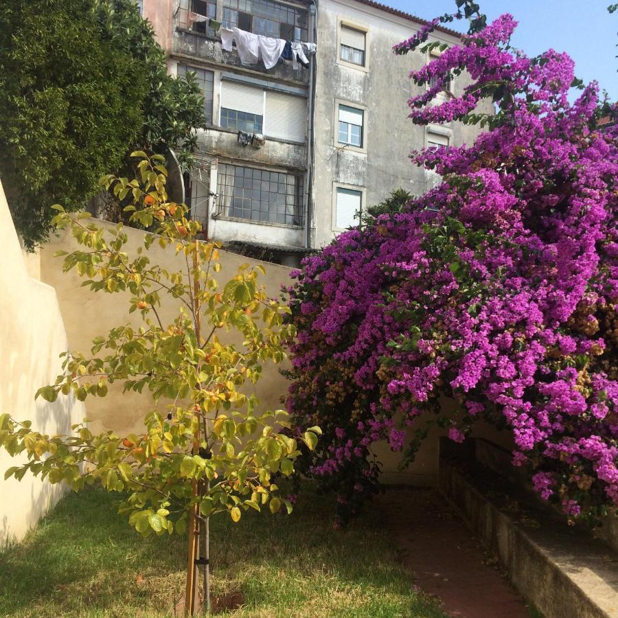 Sobre Ribas 2|12 Apartamento Coimbra Exterior foto